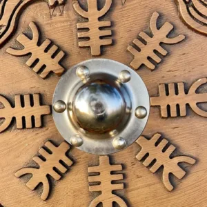 Battle-Ready Shield