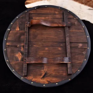 Custom Lion Shield