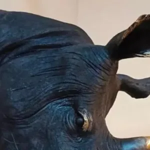 Close-Up of Rhino Crest Geometric Rhino Head Sculpture - Premium Black Gold Brass Tone Resin Finish Wall Hanging Decor